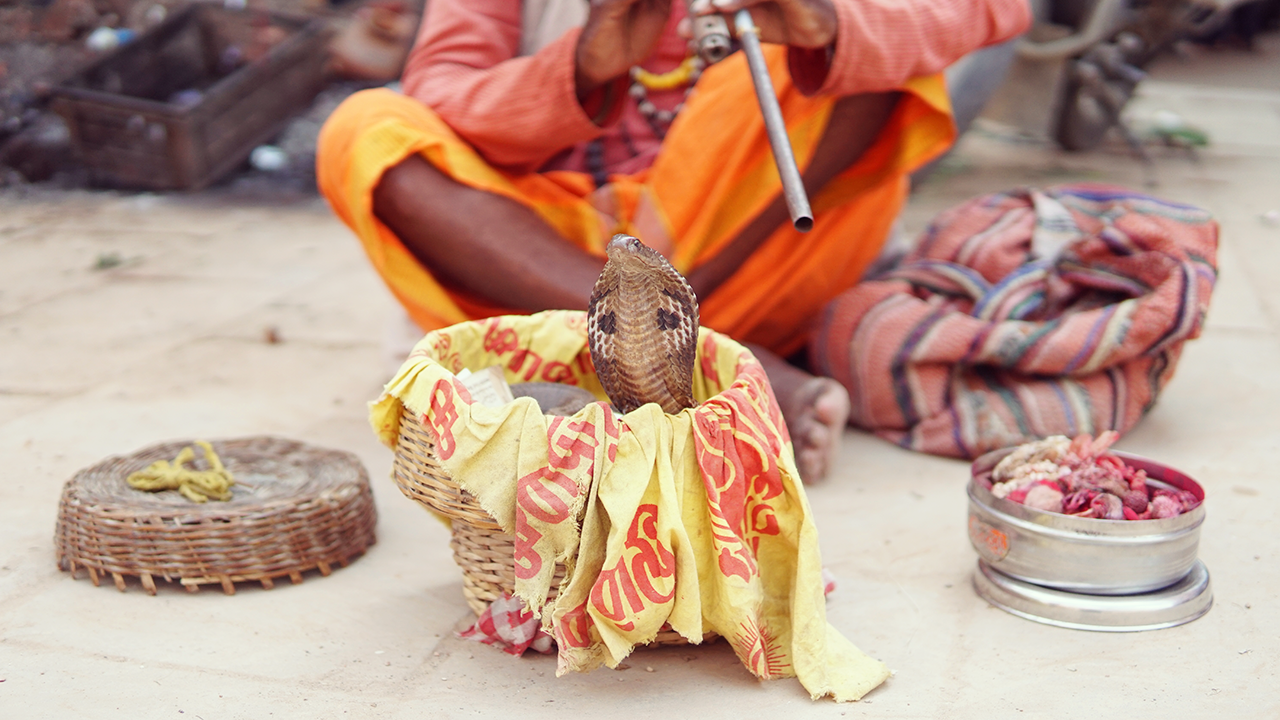 バラナシの蛇遣い