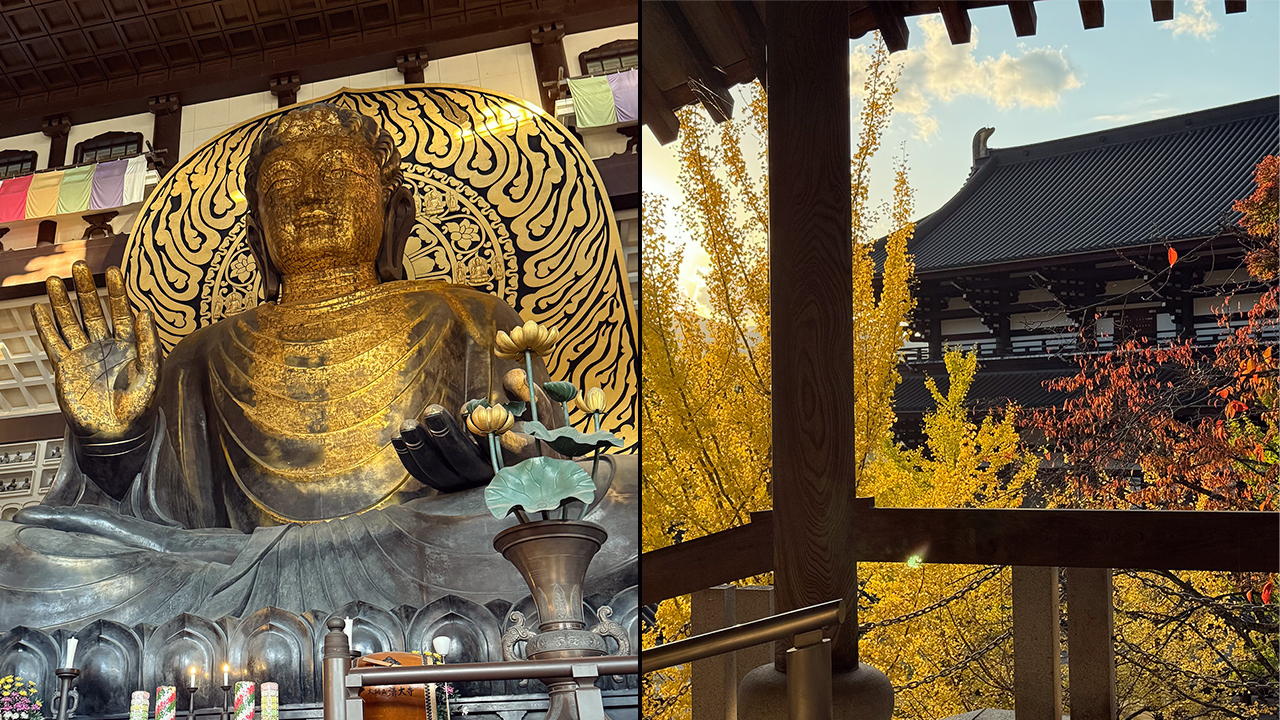 福井県 越前大仏