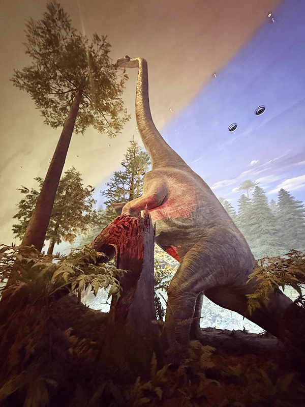 福井県立恐竜博物館 実物大恐竜の展示