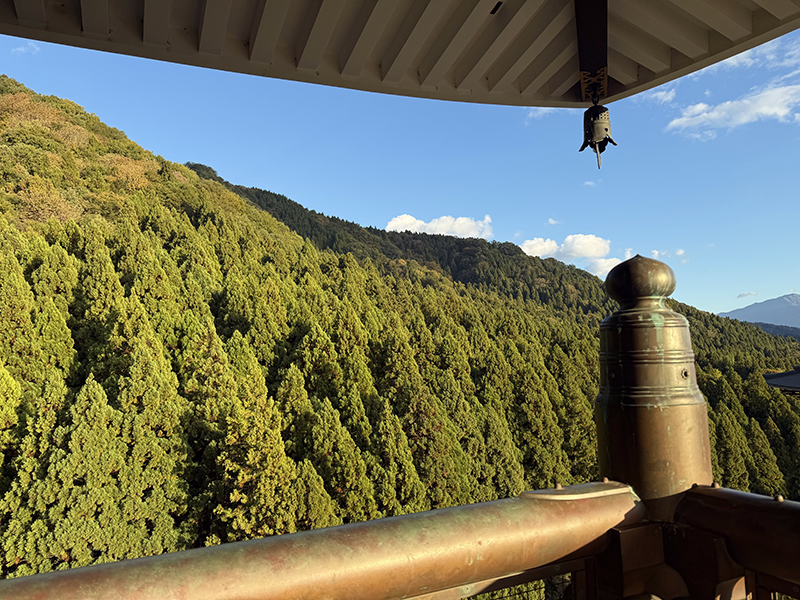 越前大仏 五重塔からの眺望