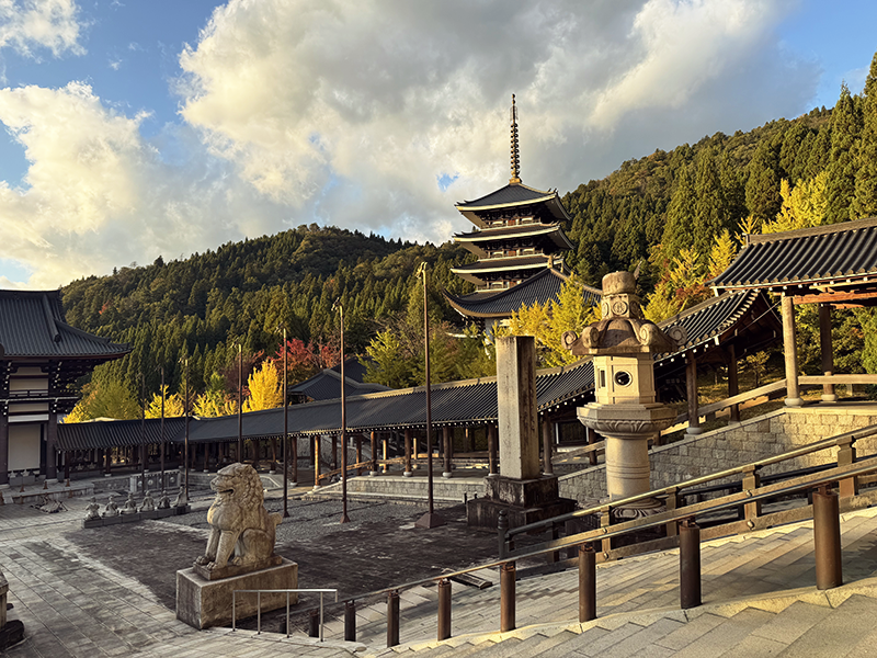 福井県 越前大仏 紅葉と大仏の全景