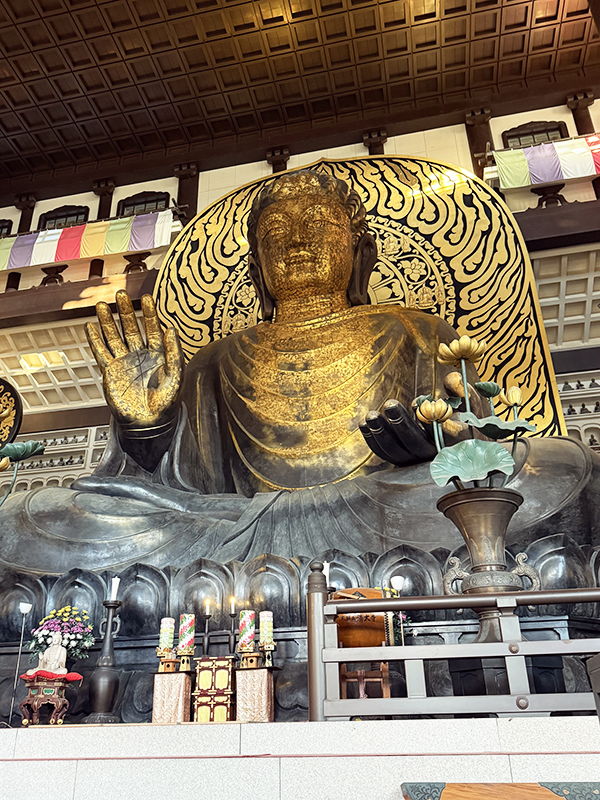 福井県 越前大仏 室内座像