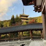 越前大仏の五重塔