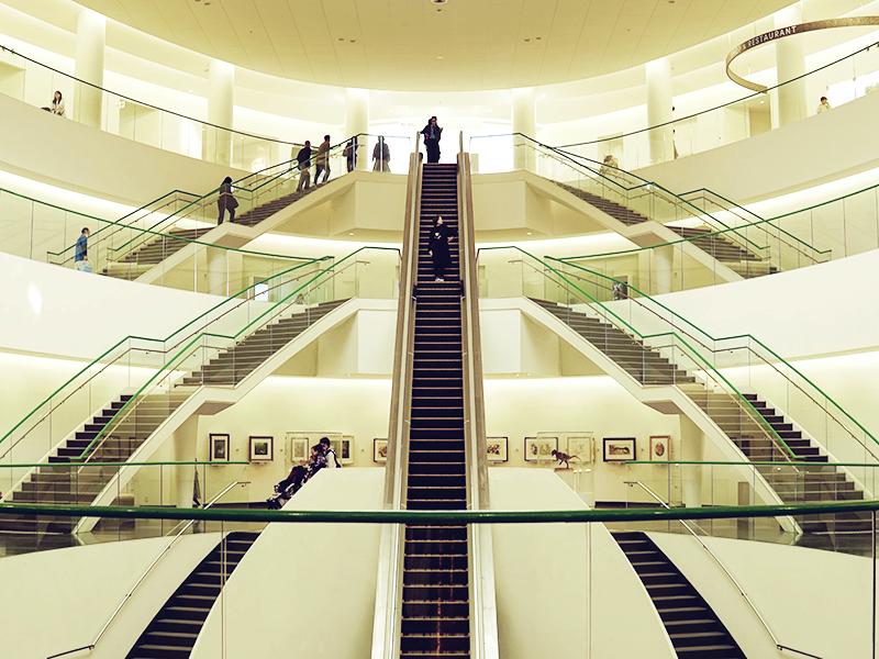 福井県立恐竜博物館 エントランス下から見上げた様子