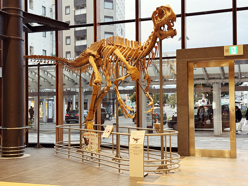 福井駅内 恐竜の全身骨格 展示