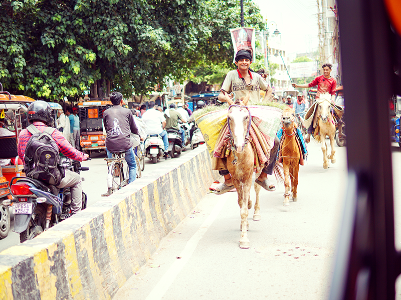インド・バラナシ到着直後の街並みと活気ある風景｜少年が馬を操る